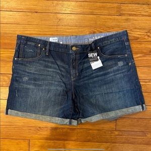 NEW Women’s Gap Jean Shorts